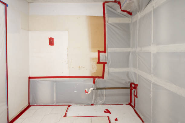 Best Forensic Mold Investigation  in Ttapoisett Center, MA