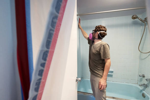 Mold Remediation for Rental Properties in Mattapoisett Center, MA