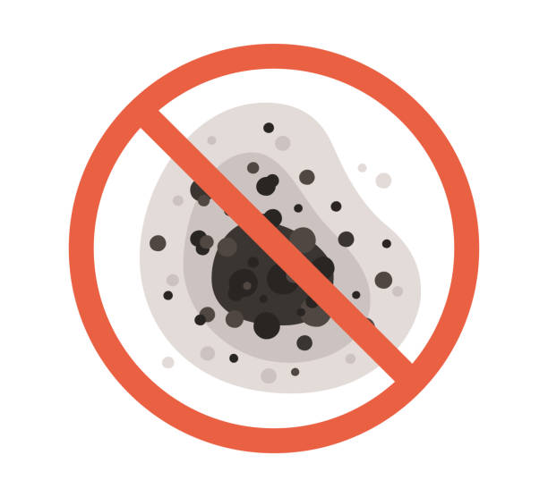 Best Mold Damage Restoration  in Ttapoisett Center, MA